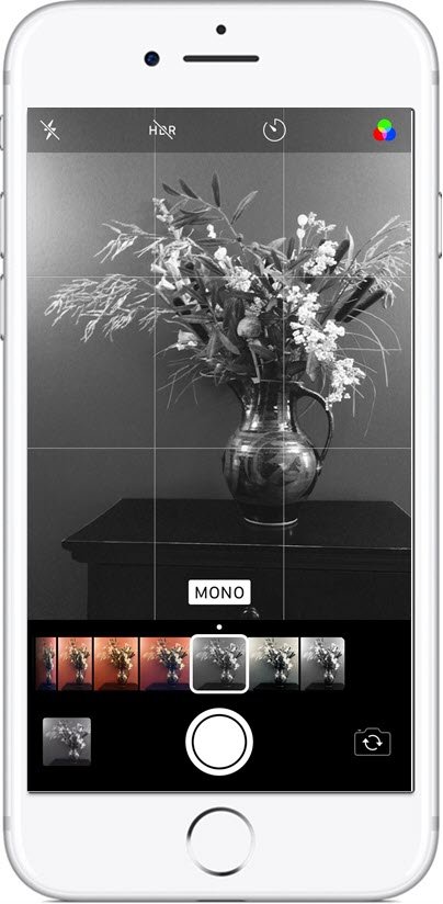 Nugget Grid Lines Camera Grid Helps with Rule of Thirds Composition