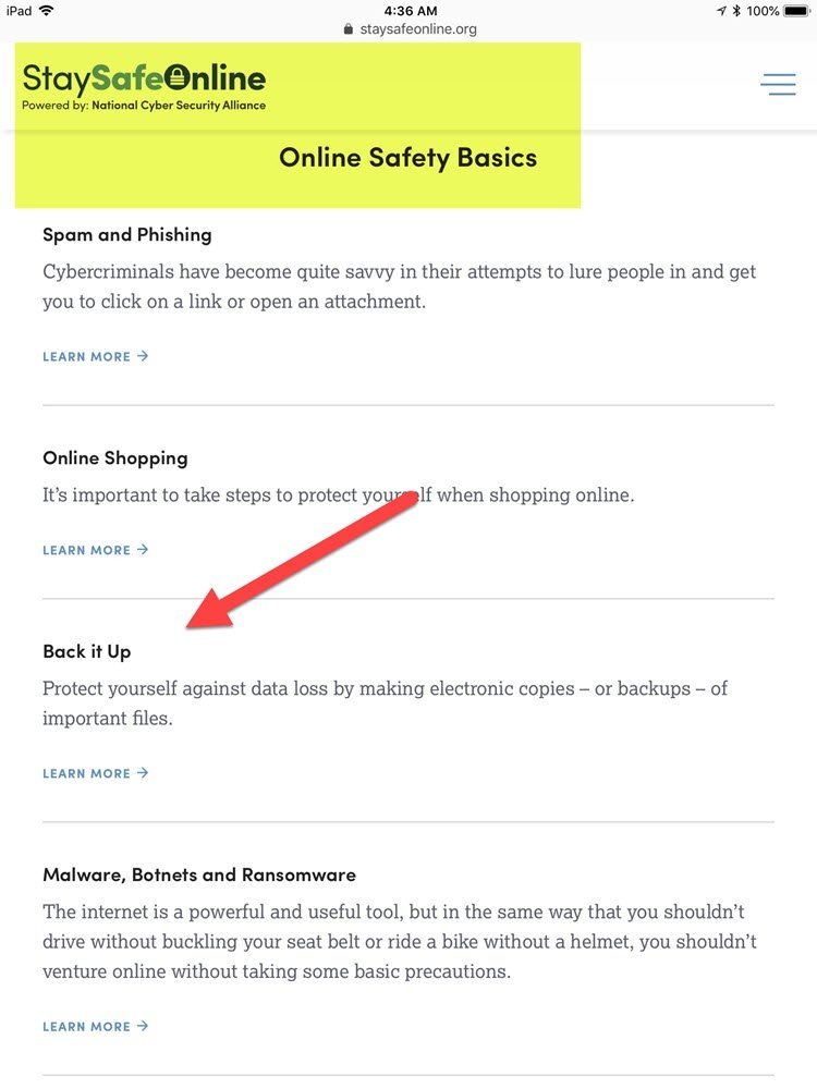 StaySafe-Backup Back It Up - It only takes 5 Minutes to Make it Automatic