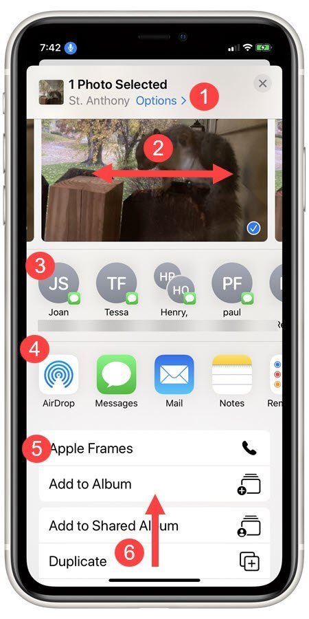 Using The Share Sheet On Your IPhone Or IPad Senior Tech Club